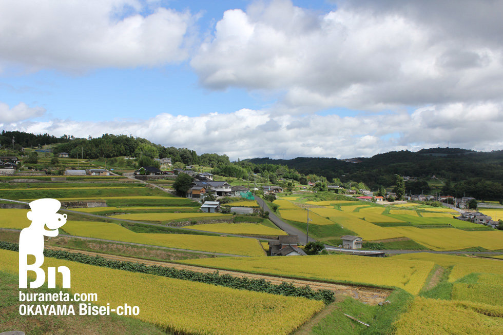 Just Moved to Okayama Prefecture! Top 12 Countryside Living Spots