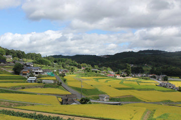 Just Moved to Okayama Prefecture! Top 12 Countryside Living Spots