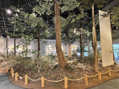 姫路科学館の風景