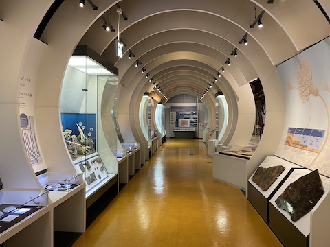 姫路科学館の風景