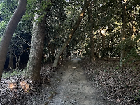 宗像大社 辺津宮の風景