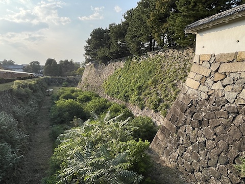 名古屋城の風景