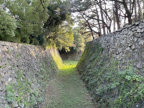 名古屋城の風景