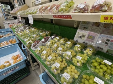 JA Okayama Hanayaka Ichinomiya store