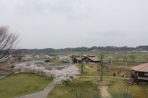 まきばの館の風景