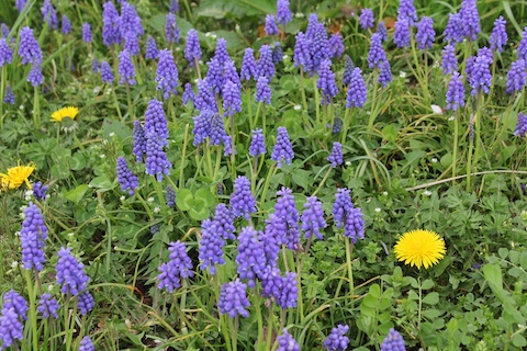 まきばの館の風景