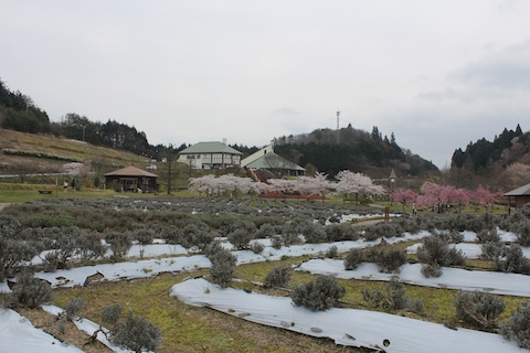 まきばの館の風景
