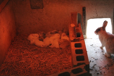 まきばの館の風景
