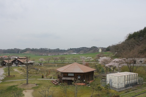 まきばの館の風景