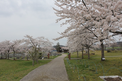 まきばの館の風景