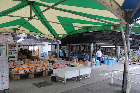 道の駅 彩菜茶屋の風景
