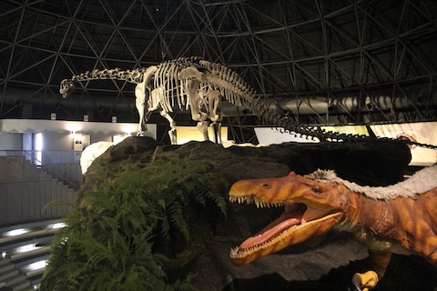 カブトガニ博物館の風景