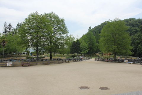 カブトガニ博物館の風景