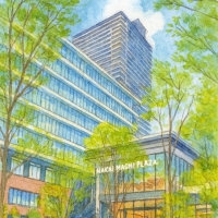 杜の街グレース