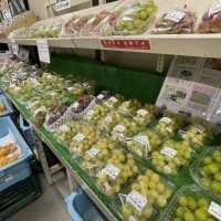 JA岡山 はなやか 一宮店